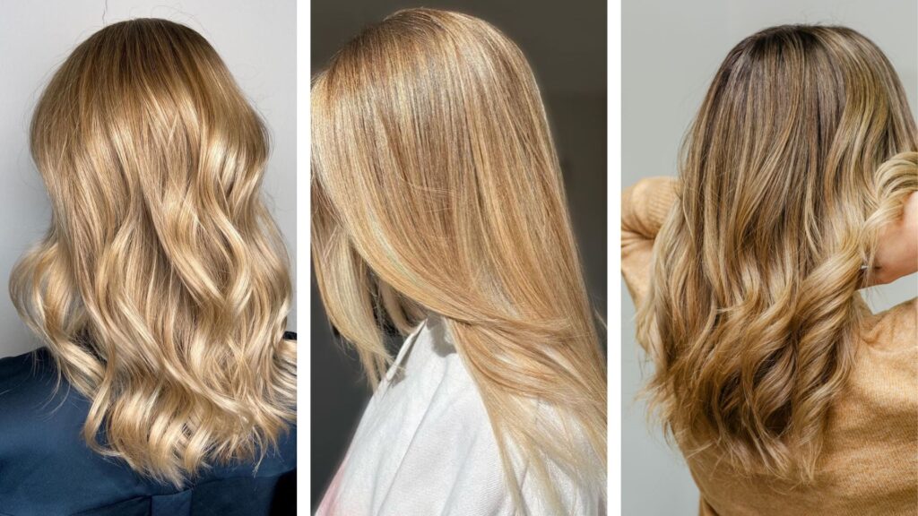 Sunlit Golden Blonde Streaks - blonde highlights brown hair